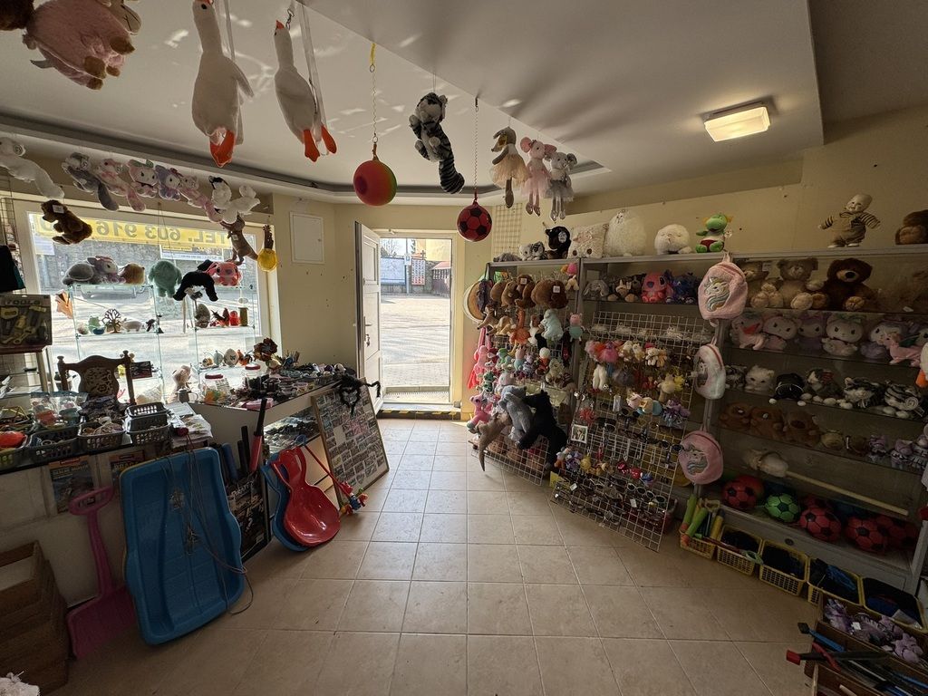 Lokal Kudowa-Zdrój, ul. Tadeusza Kościuszki. Zdjęcie 3