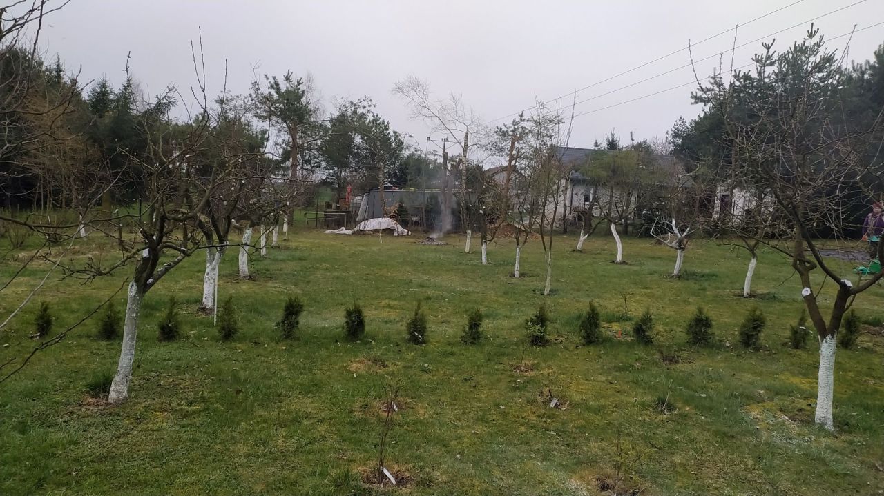 Działka siedliskowa Ząbrowo, ul. Polna. Zdjęcie 3