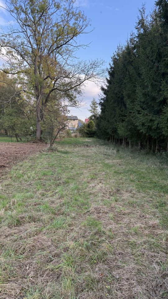 Działka budowlana Stare Czarnowo, ul. Polna. Zdjęcie 3