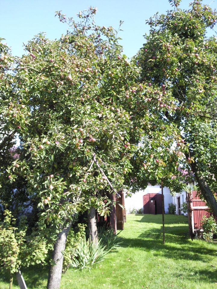 dom szeregowy, 7 pokoi Dobrodzień, ul. Opolska. Zdjęcie 3