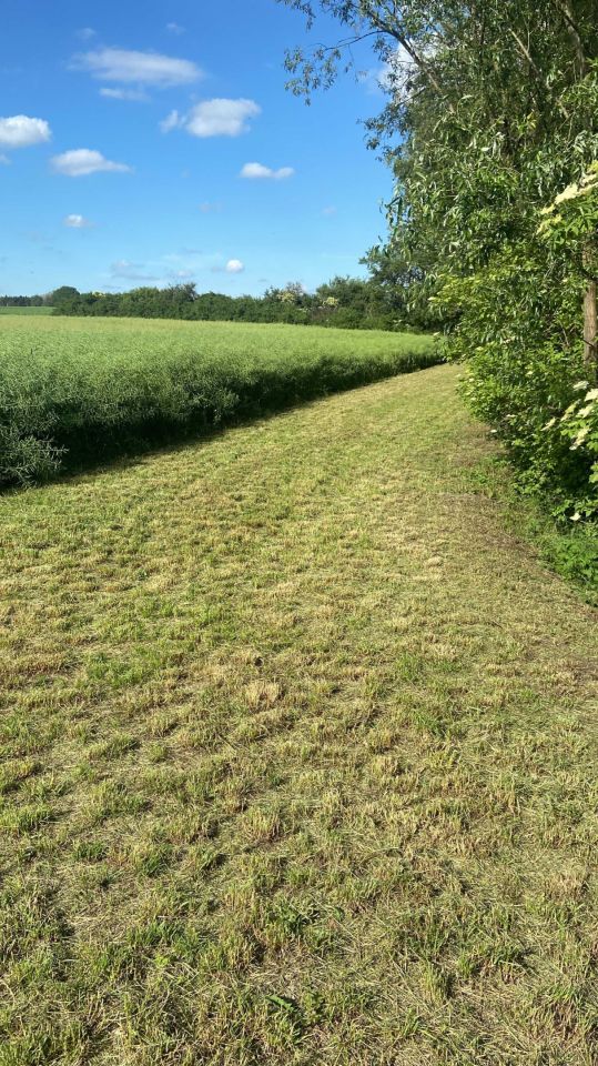 Działka budowlana Rogowo. Zdjęcie 2