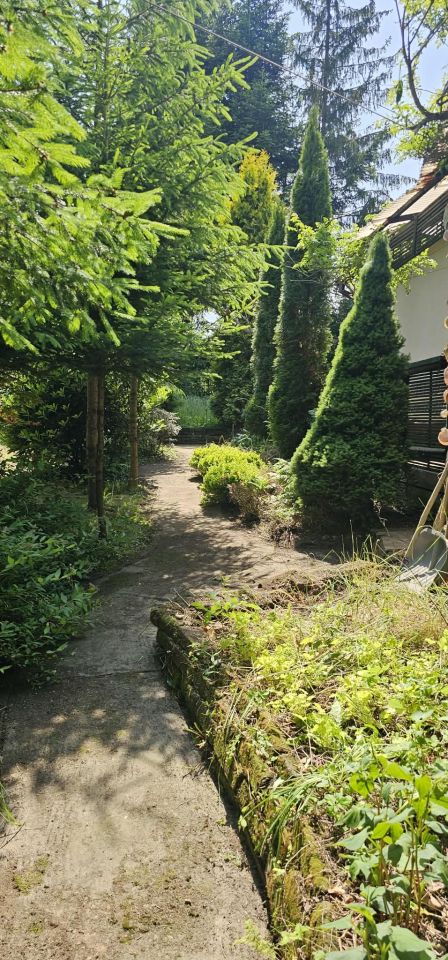 dom wolnostojący, 3 pokoje Haczów. Zdjęcie 13