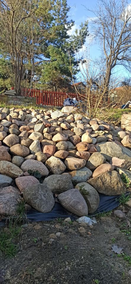 Działka rod Zielona Góra, ul. Andrzeja Struga. Zdjęcie 6