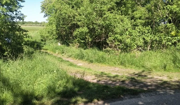 Działka rolna Kluki Oćwieka