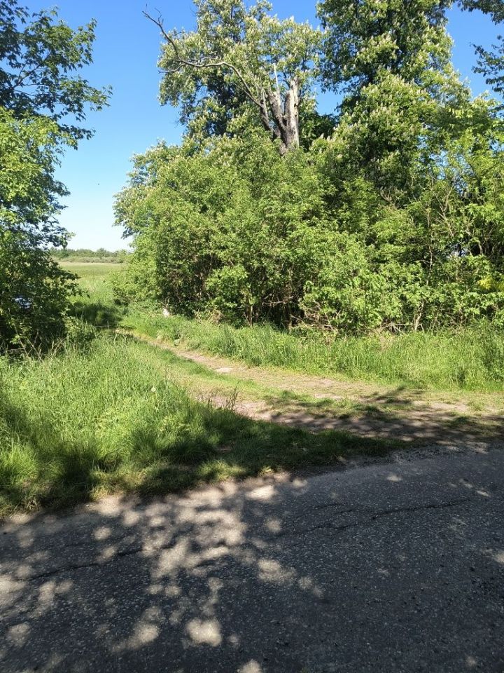 Działka rolna Kluki Oćwieka. Zdjęcie 1