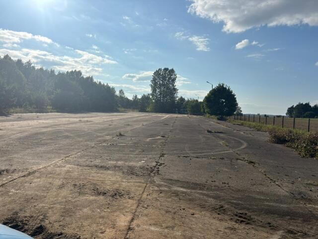 Lokal Przytuły-Las. Zdjęcie 12