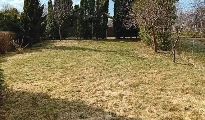 Działka rod Jonkowo, ul. Spacerowa