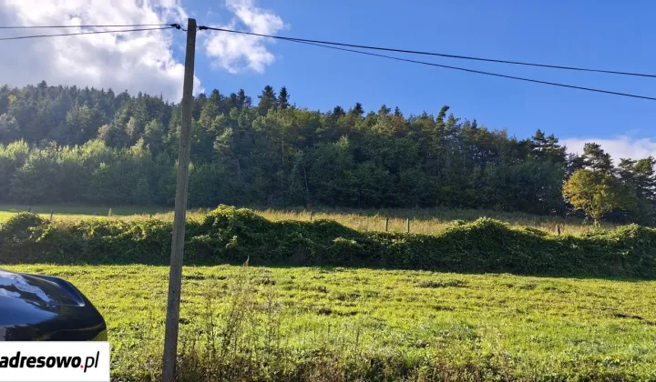 Działka leśna Wronowice