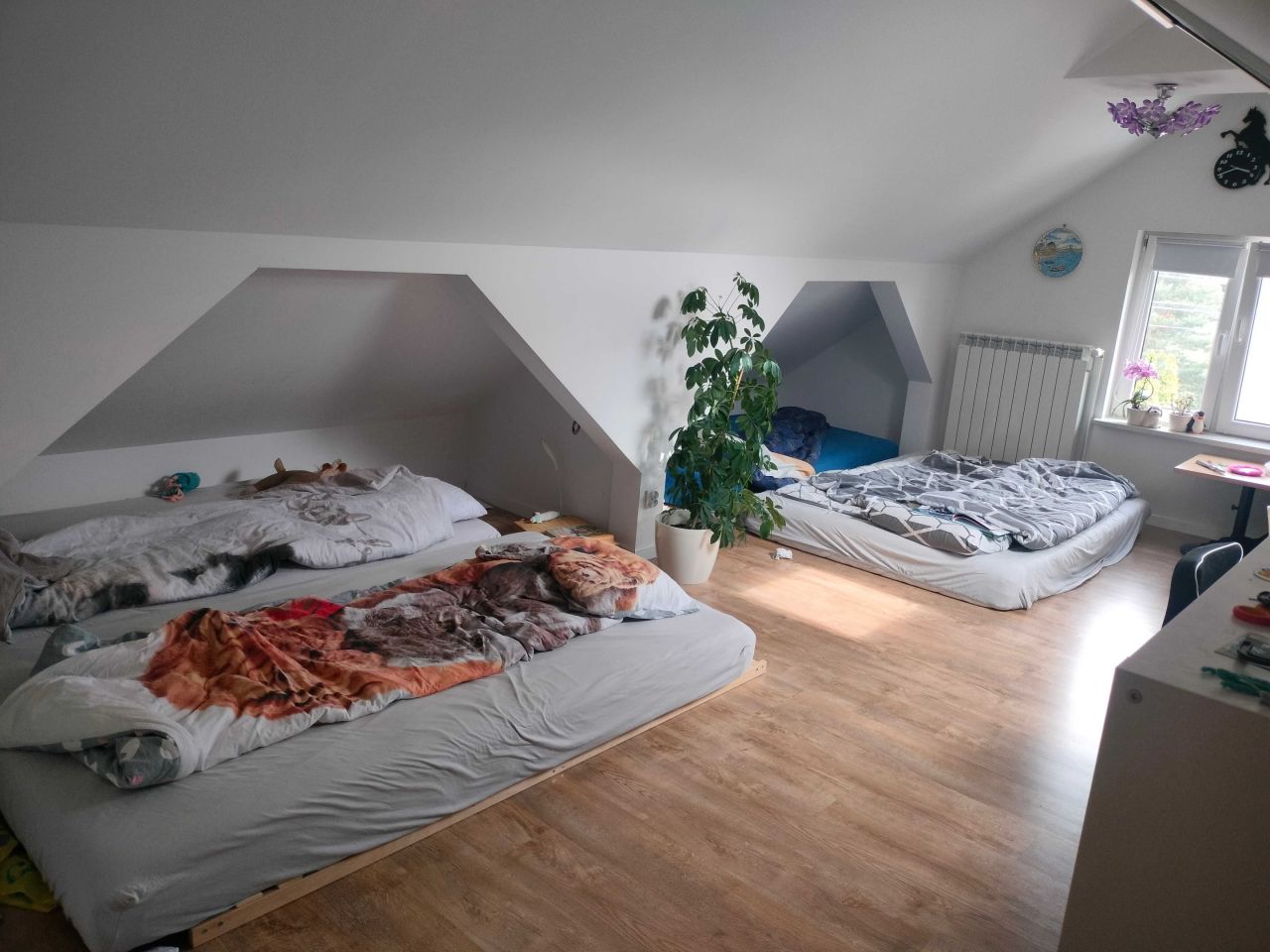 dom wolnostojący Michałów-Reginów. Zdjęcie 6