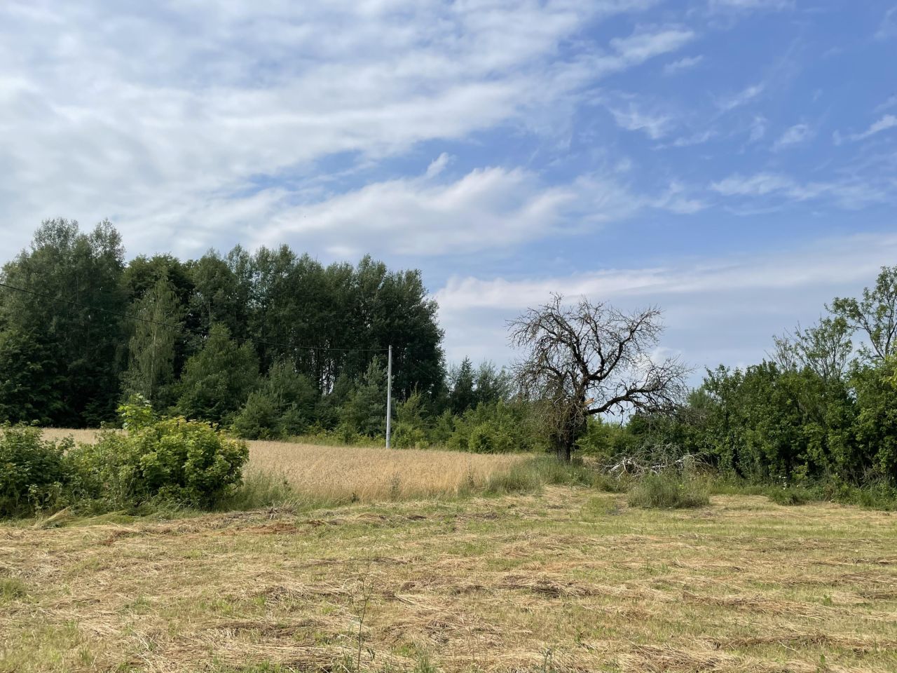 Działka rolno-budowlana Kopczany. Zdjęcie 5