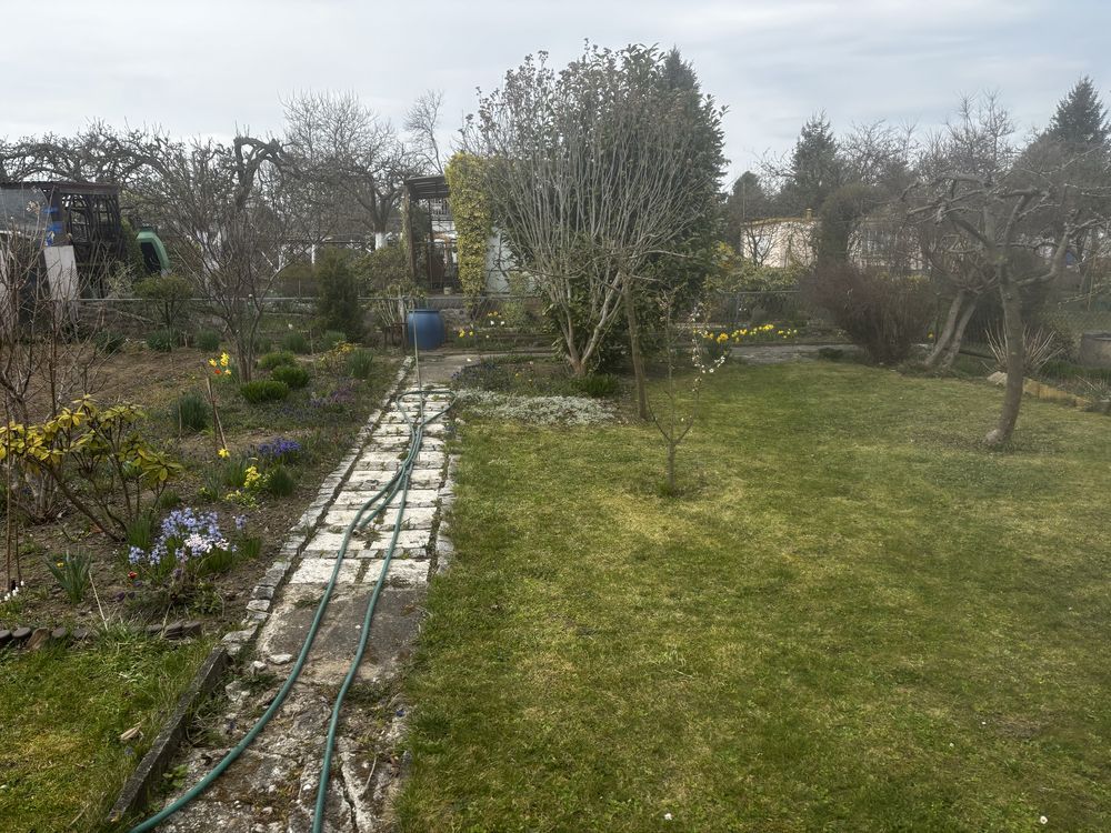 Działka rod Lubin. Zdjęcie 6