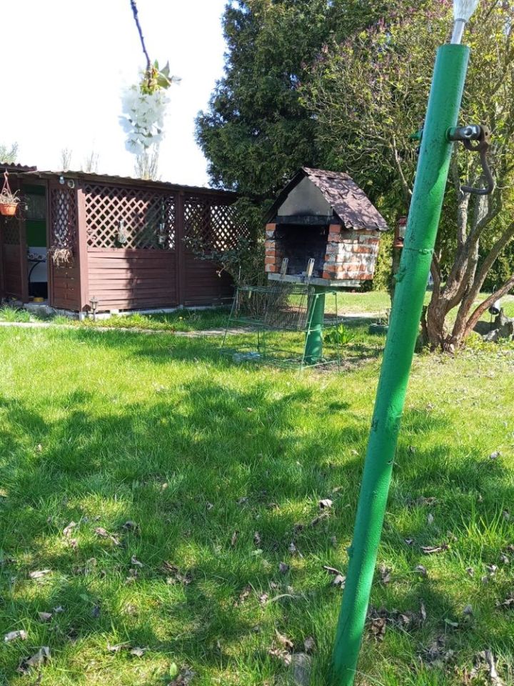 Działka rod Borek Wielkopolski. Zdjęcie 4