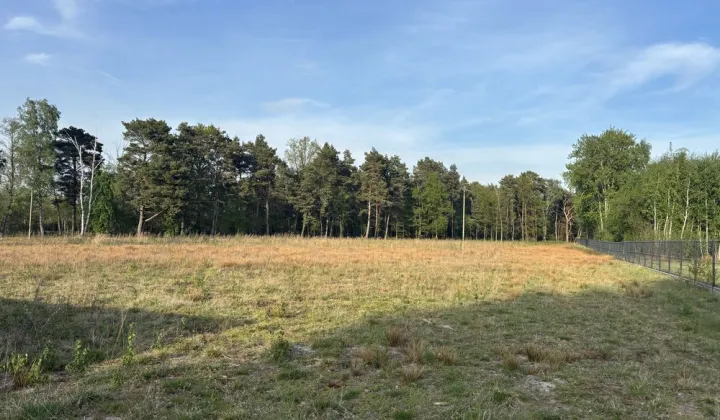 Działka budowlana Rogów