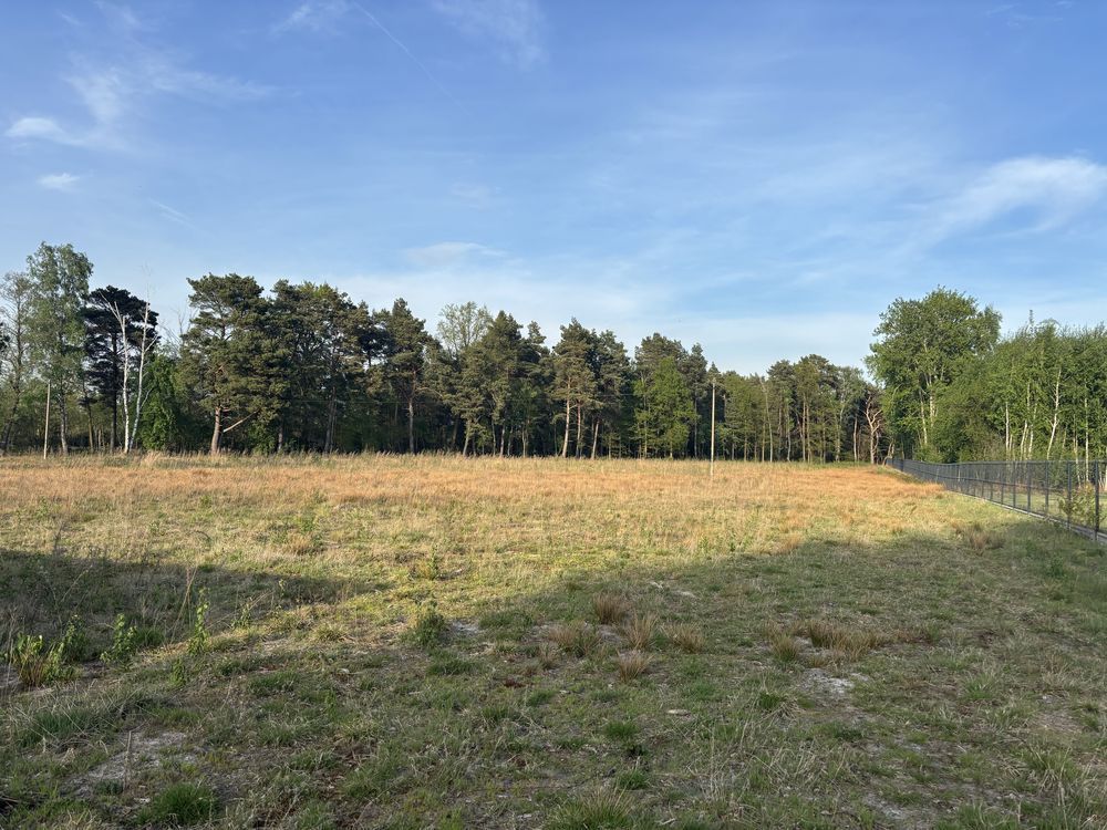 Działka budowlana Rogów. Zdjęcie 1