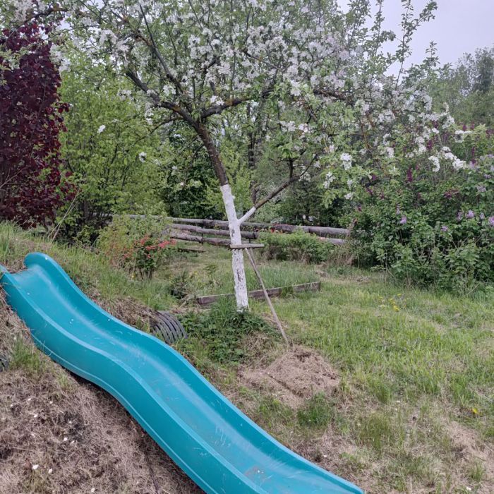 Działka rod Juszkowo. Zdjęcie 7