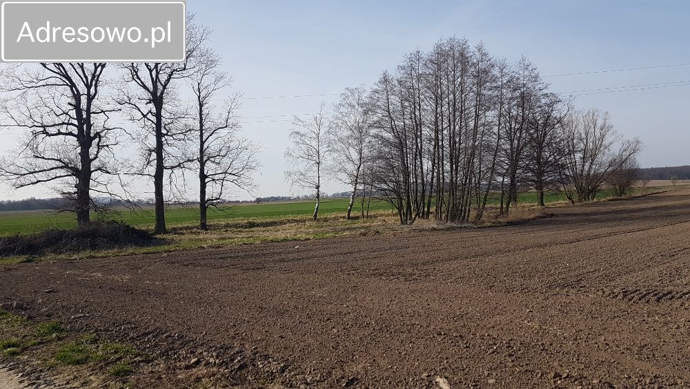 Działka rolna Morawa. Zdjęcie 5