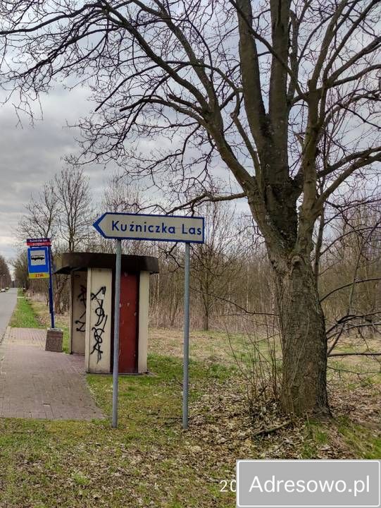 Działka leśna Dąbrowa Górnicza. Zdjęcie 8