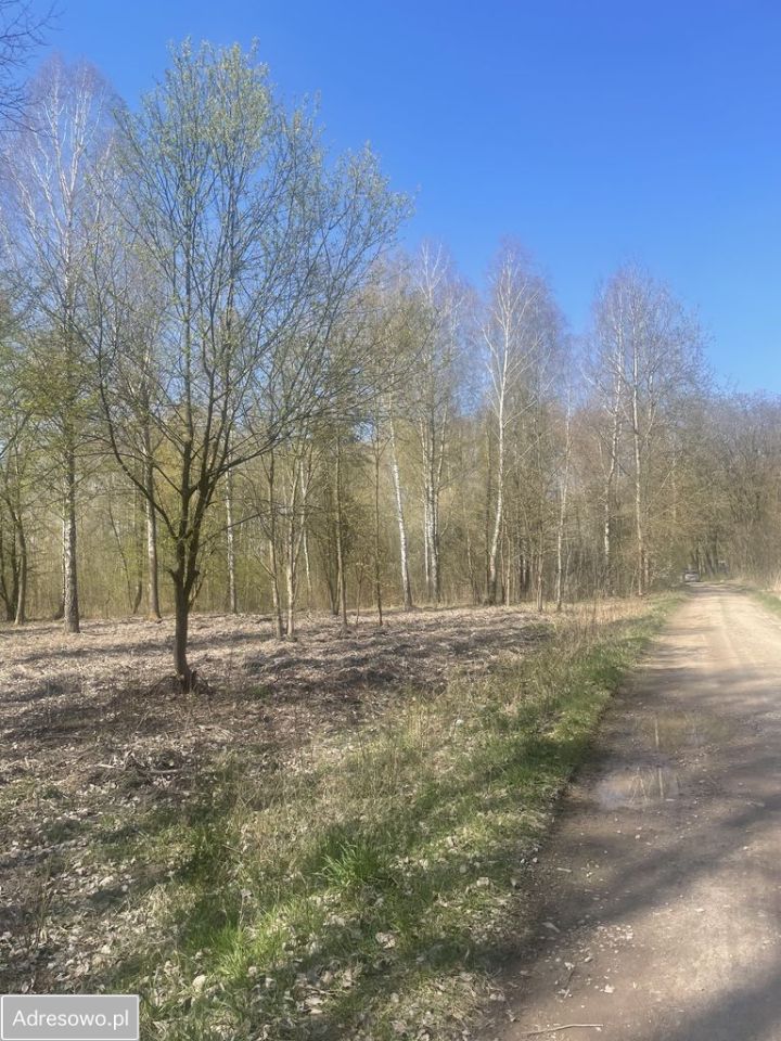 Działka budowlana Zaręby, ul. Kuropatwy. Zdjęcie 4