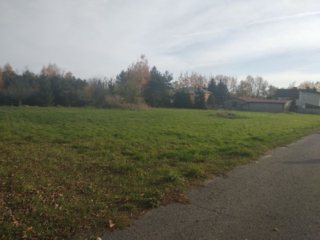 Działka budowlana Bednary-Kolonia. Zdjęcie 1