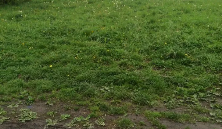 Działka rolna Humniska