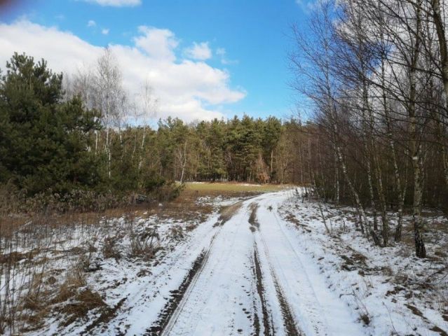 Działka budowlana Wilamy. Zdjęcie 1