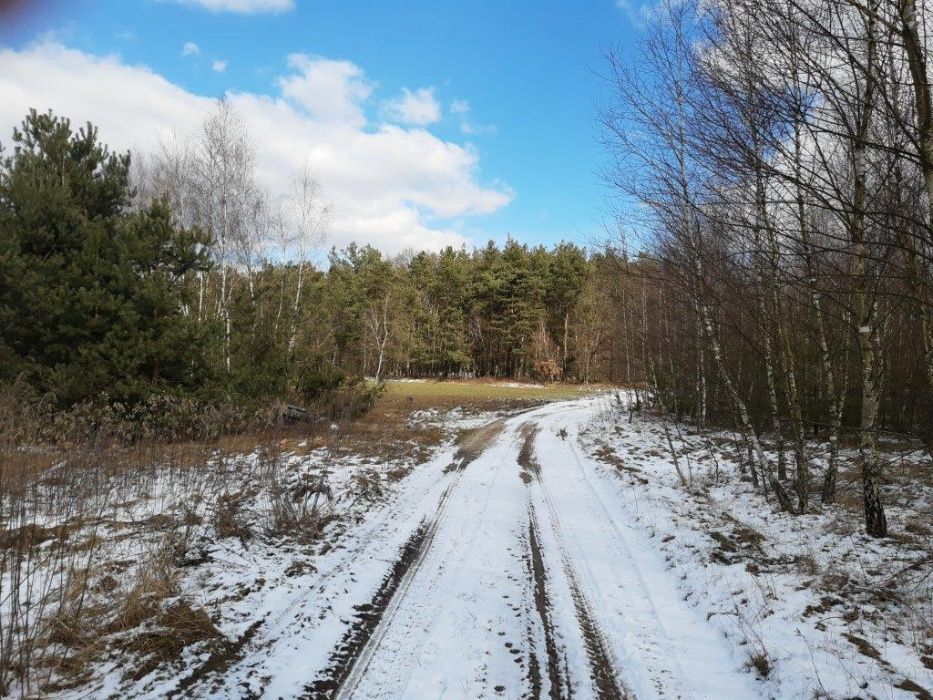 Działka budowlana Wilamy. Zdjęcie 1