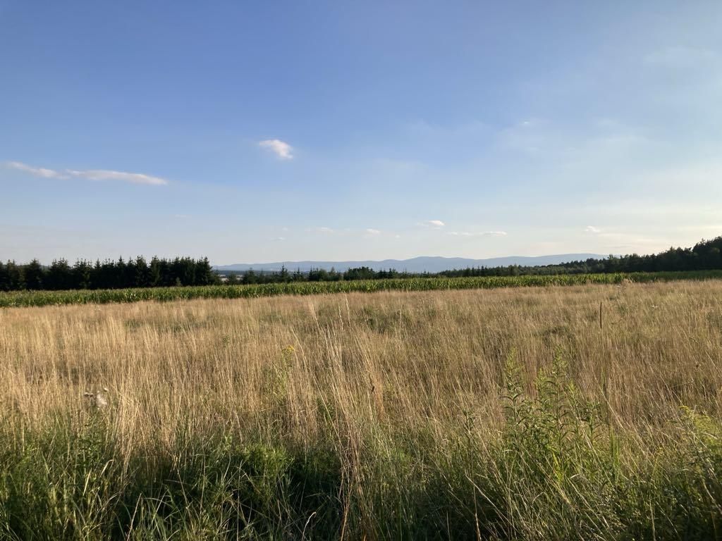 Działka rekreacyjna Słupice, ul. Krajobrazowa. Zdjęcie 4