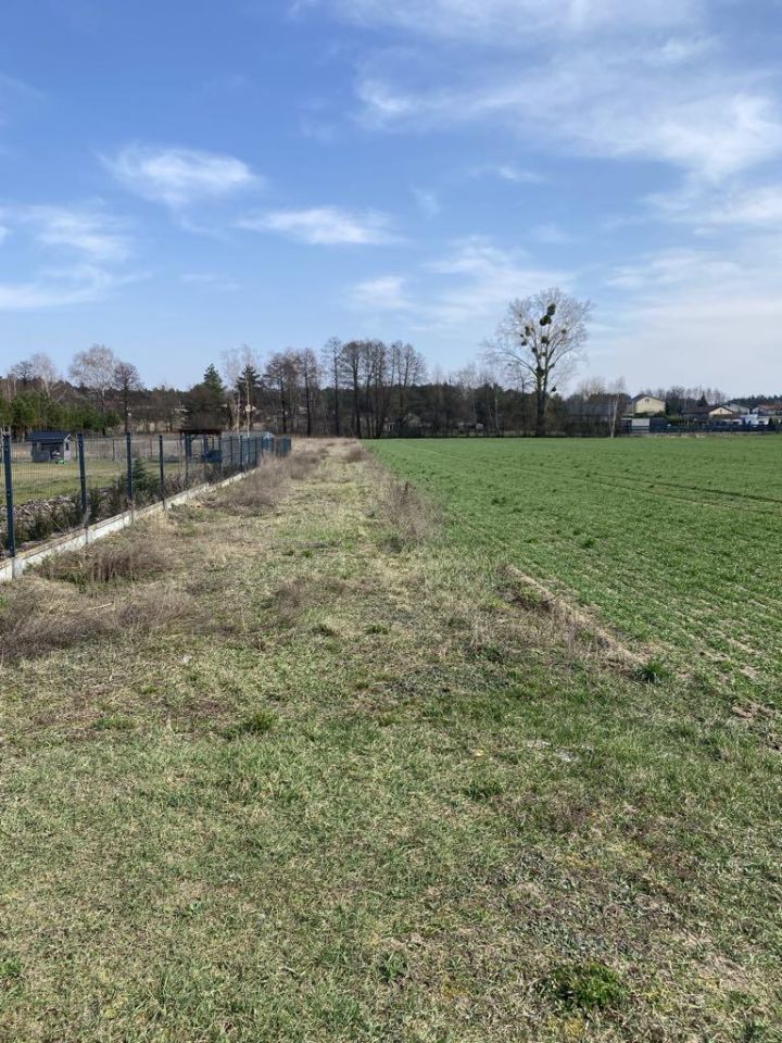 Działka budowlana Ujazd, ul. Antolin. Zdjęcie 2