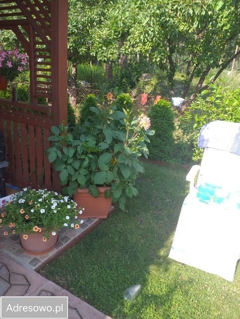 Działka rod Ząbki, ul. Skrajna. Zdjęcie 4