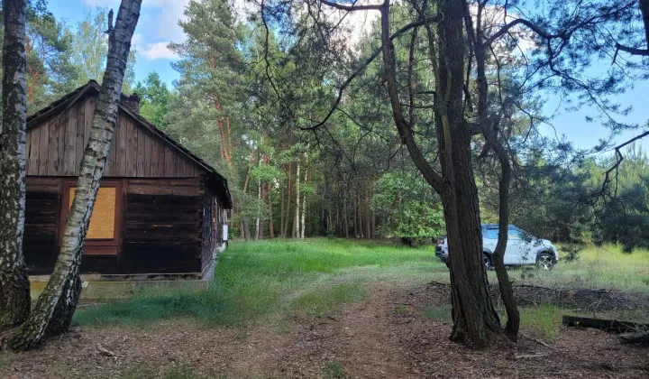 Działka Daniłówka Pierwsza