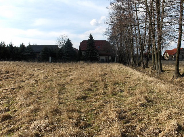 Działka rolna Zaborze Borowiec. Zdjęcie 1