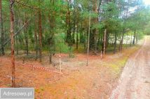 Działka leśna Zielona Chocina. Zdjęcie 3