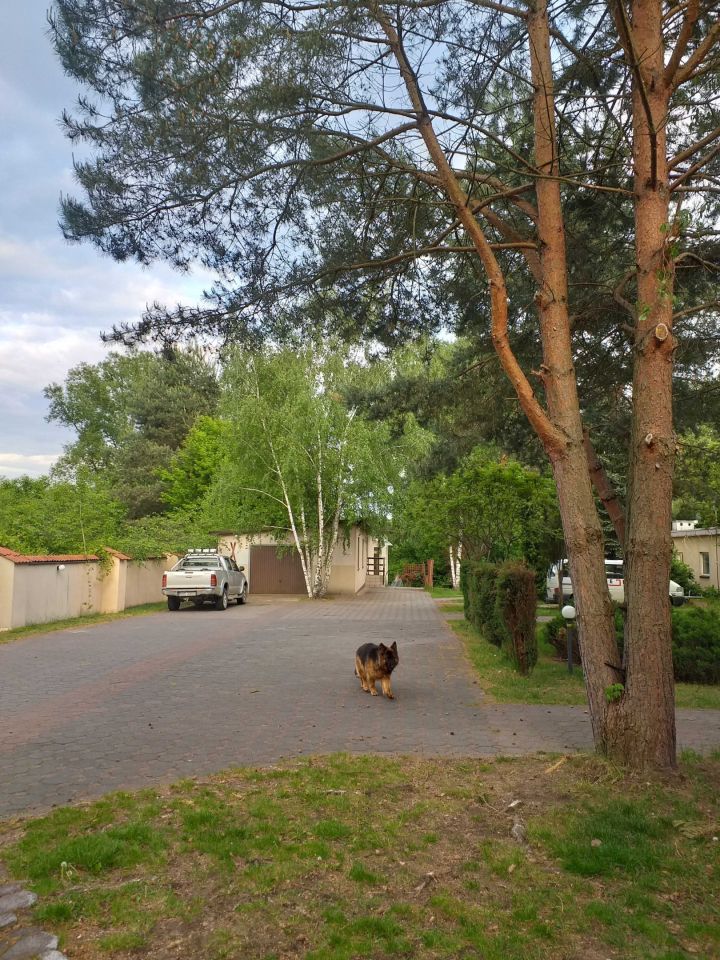 siedlisko Runów. Zdjęcie 3