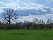 Działka Mirosławice. Zdjęcie 3