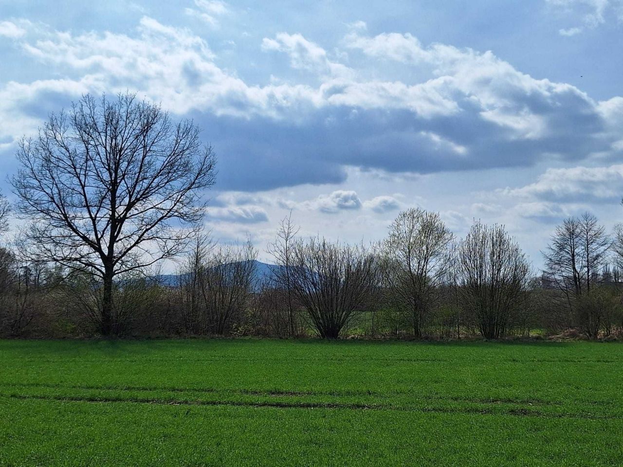 Działka Mirosławice. Zdjęcie 4