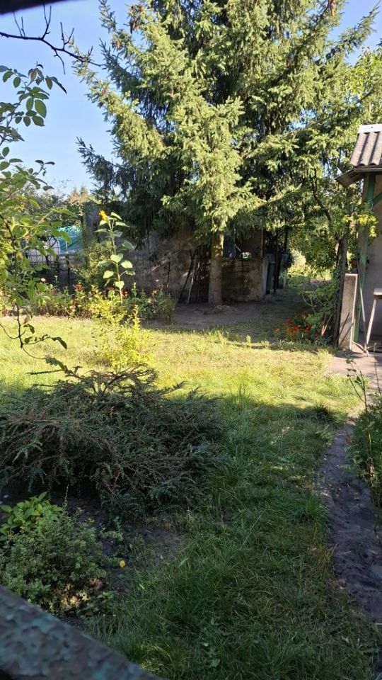 Działka rod Szamotuły. Zdjęcie 2