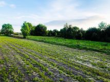 Działka budowlana Powązki, ul. Biała. Zdjęcie 3