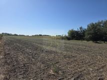 Działka budowlana Nowe Faszczyce. Zdjęcie 4