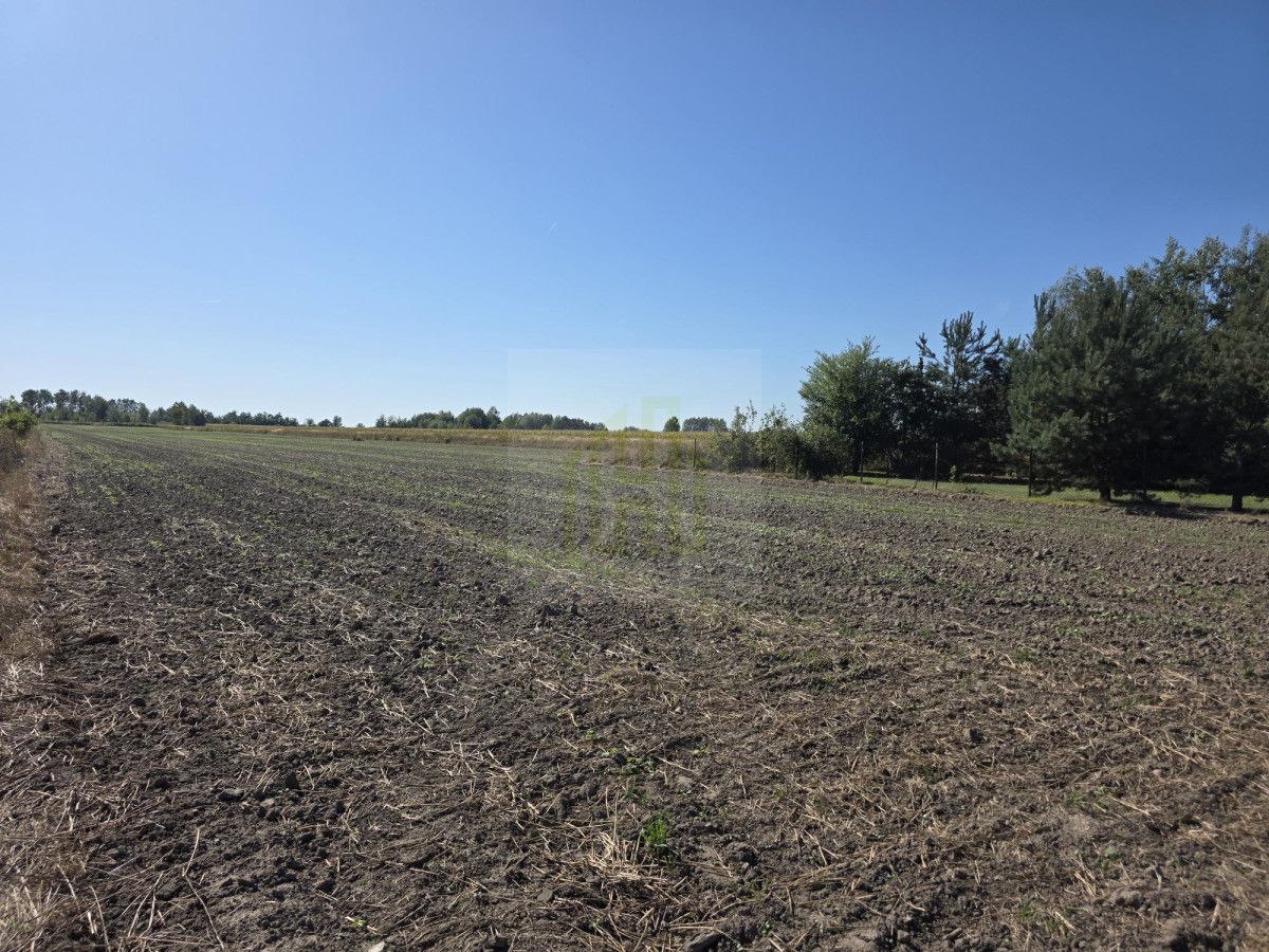 Działka budowlana Nowe Faszczyce. Zdjęcie 6