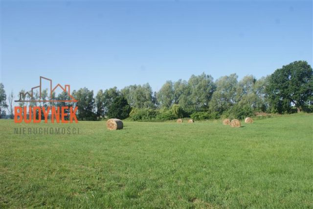Działka rolna Zakrzewo. Zdjęcie 8