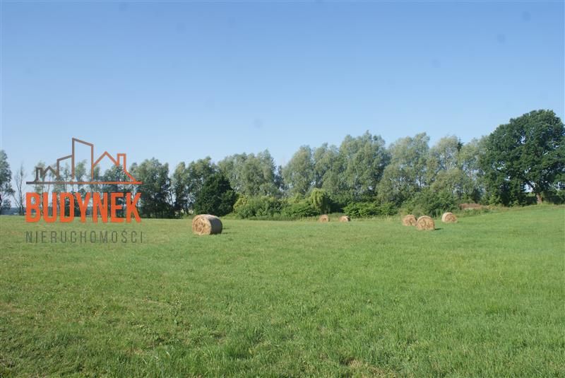 Działka rolna Zakrzewo. Zdjęcie 8