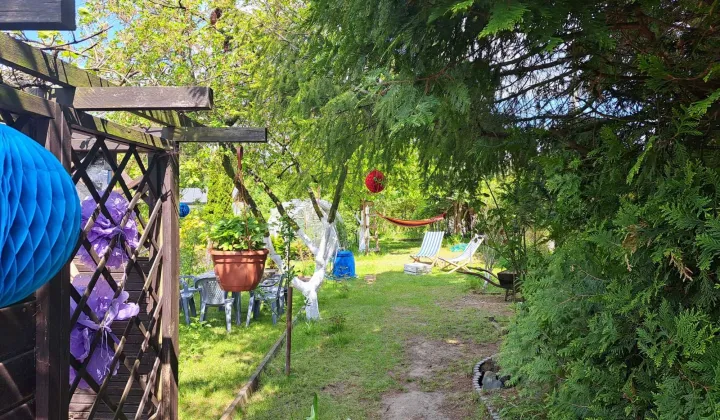Działka rod Szczecin Pogodno
