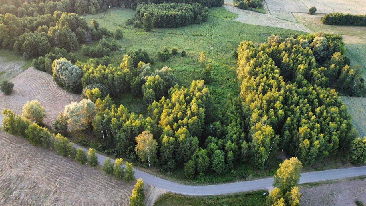 Działka budowlana Rososz. Zdjęcie 2