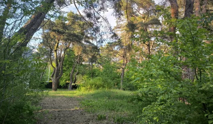 Działka budowlana Józefów, ul. Skrajna