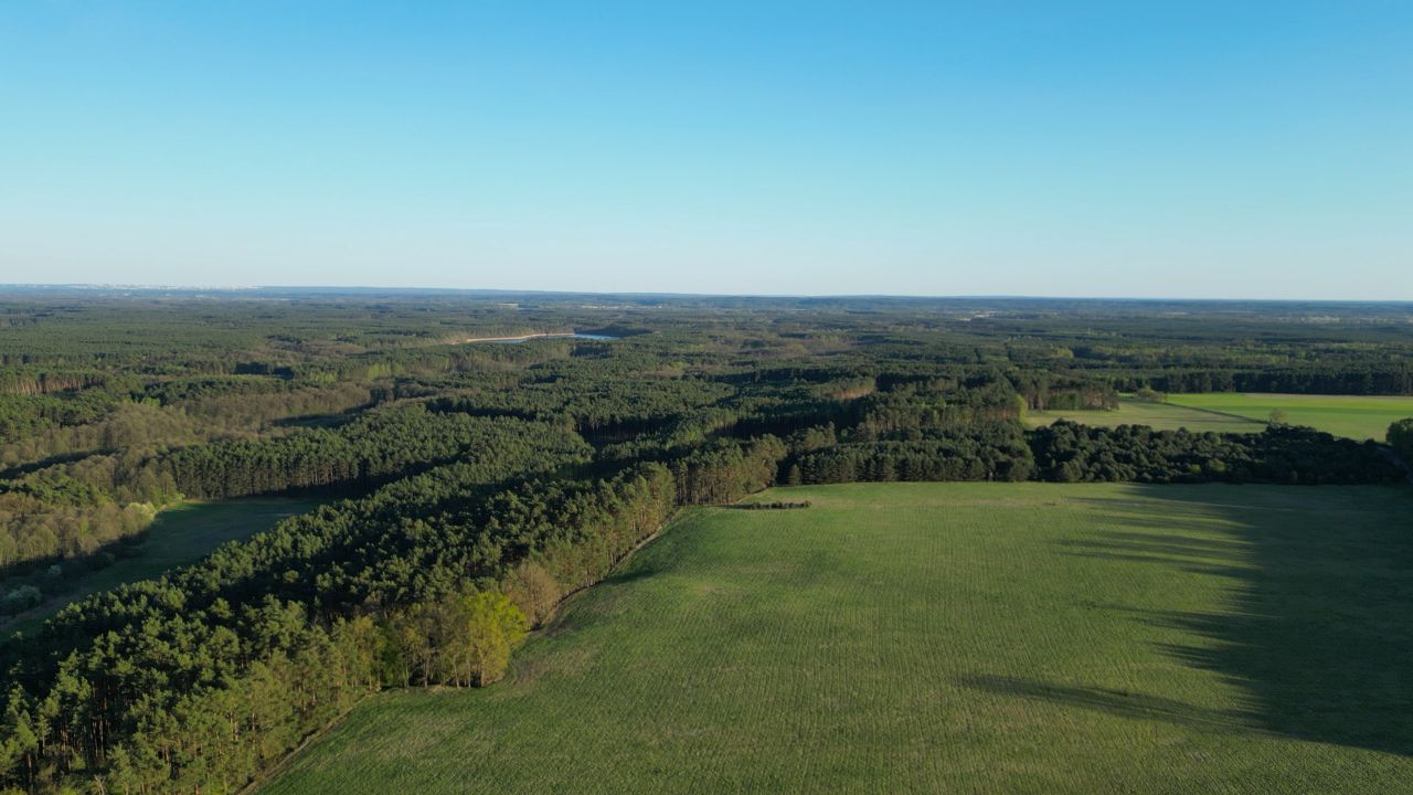 Działka rolno-budowlana Grabin. Zdjęcie 39