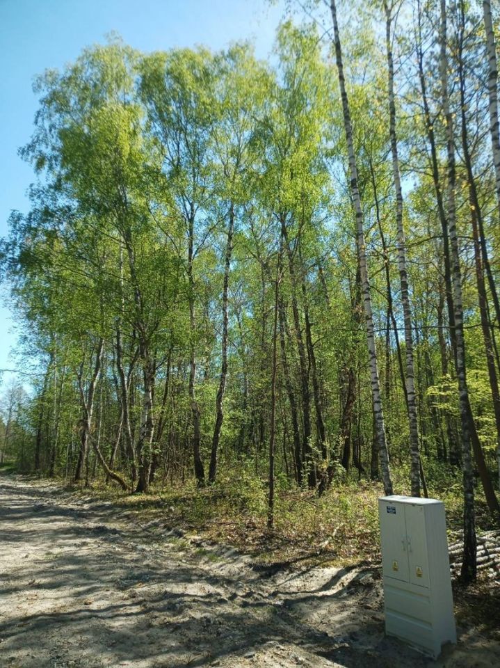 Działka budowlana Grabina. Zdjęcie 2
