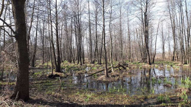 Działka rolna Ponikiew. Zdjęcie 1