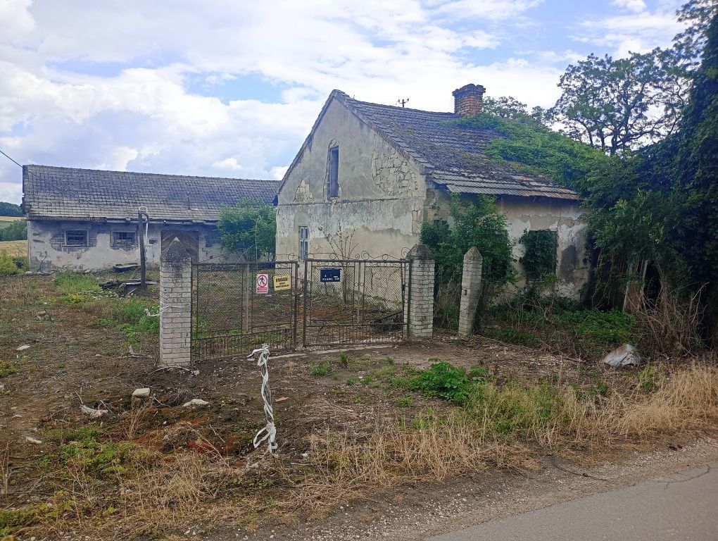 Działka rolno-budowlana Ksawerów. Zdjęcie 5