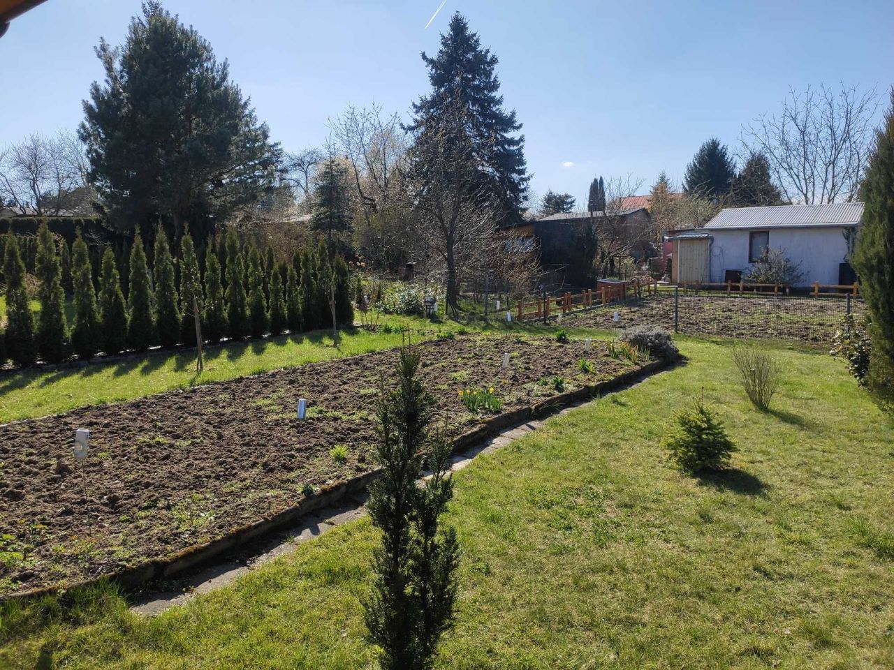 Działka rod Dys Bernatówka. Zdjęcie 5