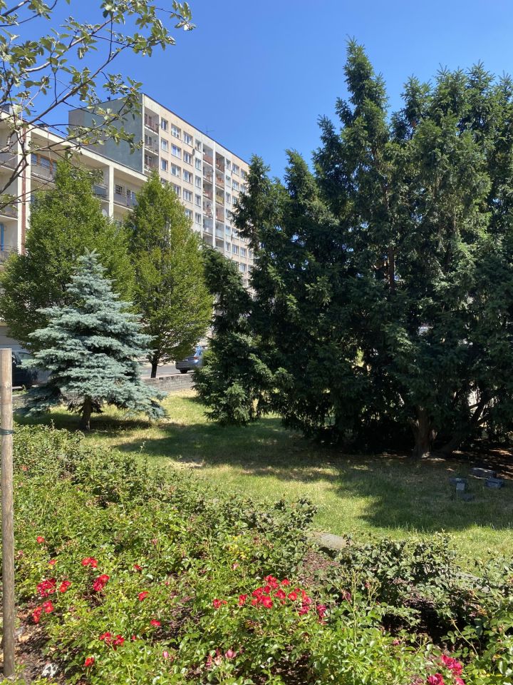 Mieszkanie 2-pokojowe Chorzów, ul. Kazimierza Wielkiego. Zdjęcie 1